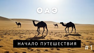 Первый день в Дубае | Путешествие по ОАЭ #1