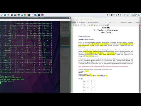 DFS (Depth First Search) Algorithm Implementation (Maze Problem)