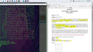 DFS (Depth First Search) Algorithm Implementation (Maze Problem)