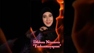 Dildpra Niyozova - Tushunmayapsan (remx)   Дилдора Ниёзова - Тушунмаяпсан ( remx)