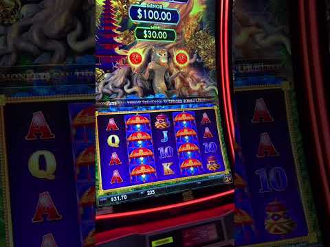 Experience the Transformation: Live Dealer Games Revolutionize Online Casino Play