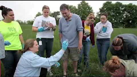 Harrisburg University Forensic Entomology class takes to the road