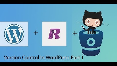 Version Control In WordPress