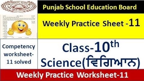 pseb competency based paper class 10th science worksheet 11 test 10th class practice sheet 11 solve