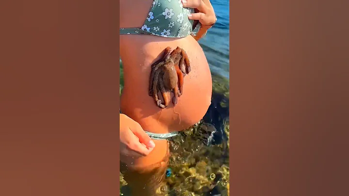 🐙 Octopus Clings to Pregnant Belly 🤰✨ #shorts