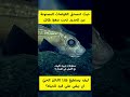 أعمق مكان على وجه الأرض… حيث تتحطم الغواصات! #السعودية #اكسبلور #غرائب #ترند #معلومات