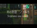「雨の物語」/ イルカ【Soprano sax cover】