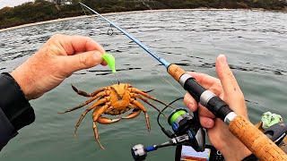 Whole Crabs Helped Catch My Personal Keepers Record!