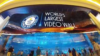 LG OLED Videowall in Dubai Mall - World Record on 3 Categories