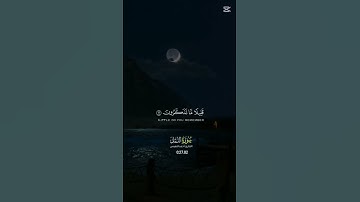 🤲 آيات بينات من سورة النمل سكينة وطمأنينة لا حزن يبقى والقرآن يتلى #cute #دويتو #duet #اكسبلور