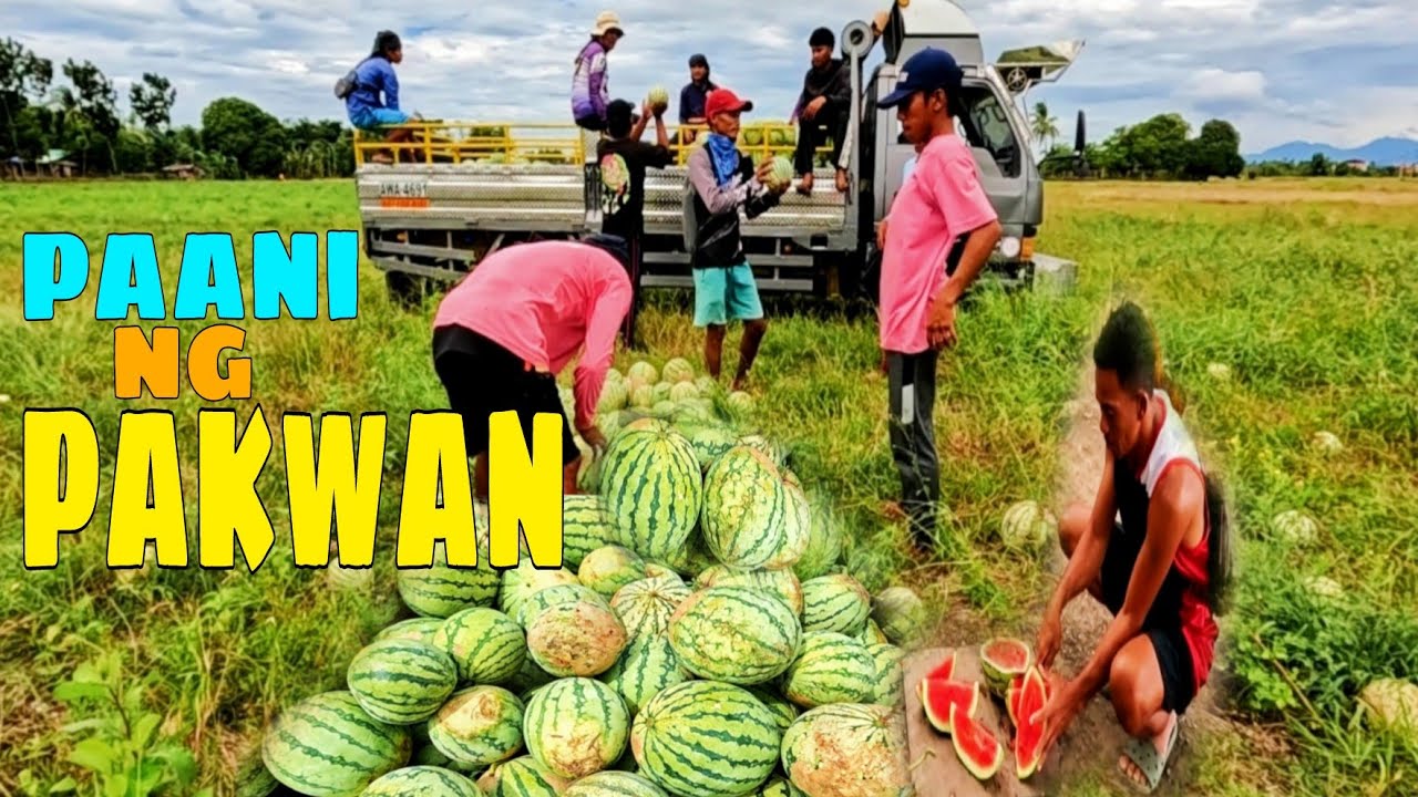 EP568: PART2-NAGPAPITAS NA SI MRS K. 