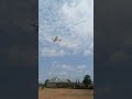 Flying in a strong wind #rcplane #homemade #rcflying #rcflight #rccrash