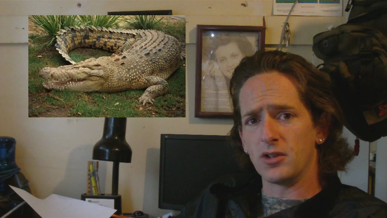 mayuge town council Reptile News: Your daily reptile news for Friday February 26th, 2010