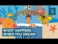 What Happens To Your Brain When You Dream