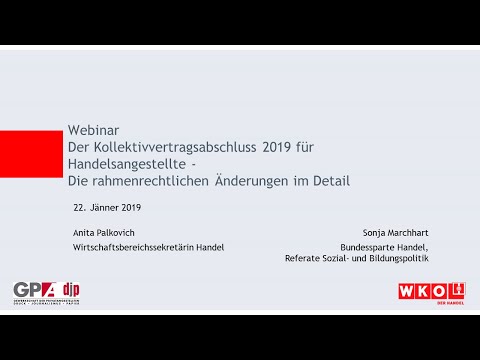 Video: Das Webinar 