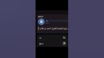 احمد بن طالب سورة البقرة #سورة_البقرة #قرآن #قران_كريم