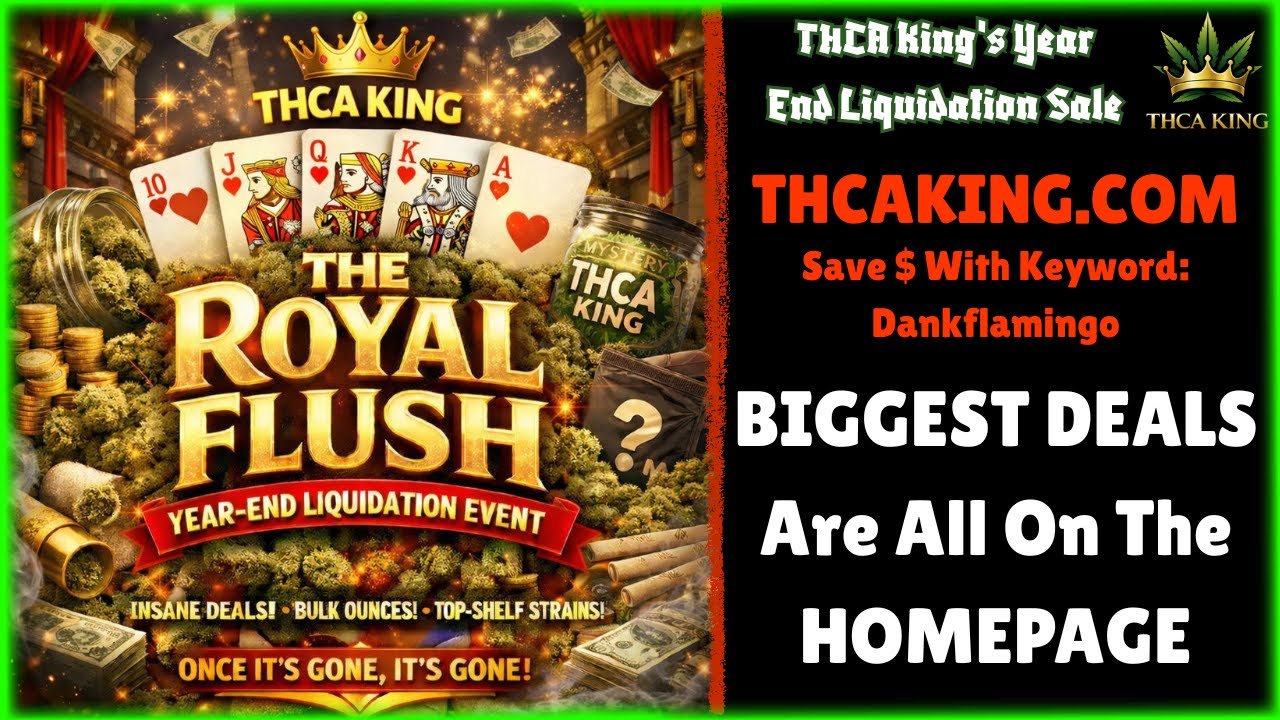 The Royal Flush - The Dank Flamingo LIVE