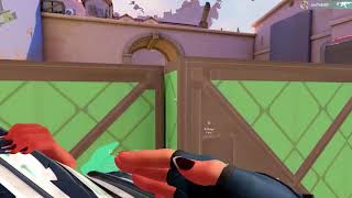 Ortam Kız Valorant Edit