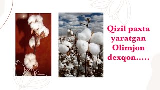 : Qizil paxta yaratgan Olimjon dexqon haqida 1998-yil