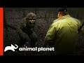 The Closest Bigfoot Encounters | Finding Bigfoot