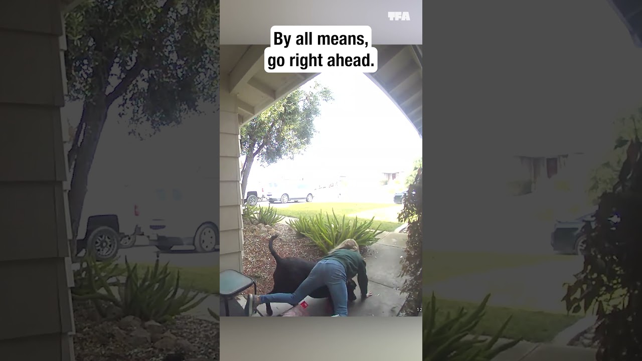Dogs mow their owner over and it's all caught on the doorbell cam 🤣 #pets #shorts #funny #relatable