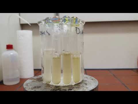Diatom Training video. Part II Lab work