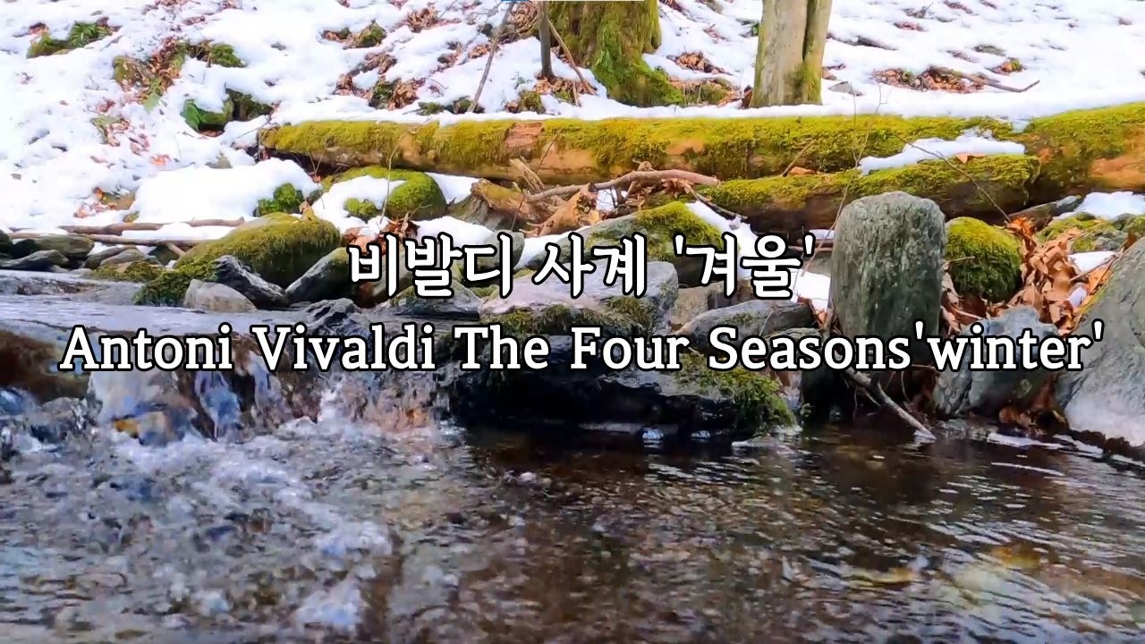🌱[playlist] 냉기 속 온기를 피워낼 겨울🕸⛸🏑#비발디사계#비발디사계겨울#사계겨울#사계#클래식#Vivaldi#TheFourSeasons#music#summer#classic