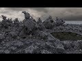 Math Beauty - Glass Garden Fractals (Ray Tracing) Math Beauty - Glass Garden Fractals (Ray Tracing)