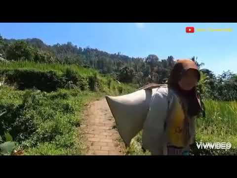 Cover Cinta Sampai Mati - Kangen Band