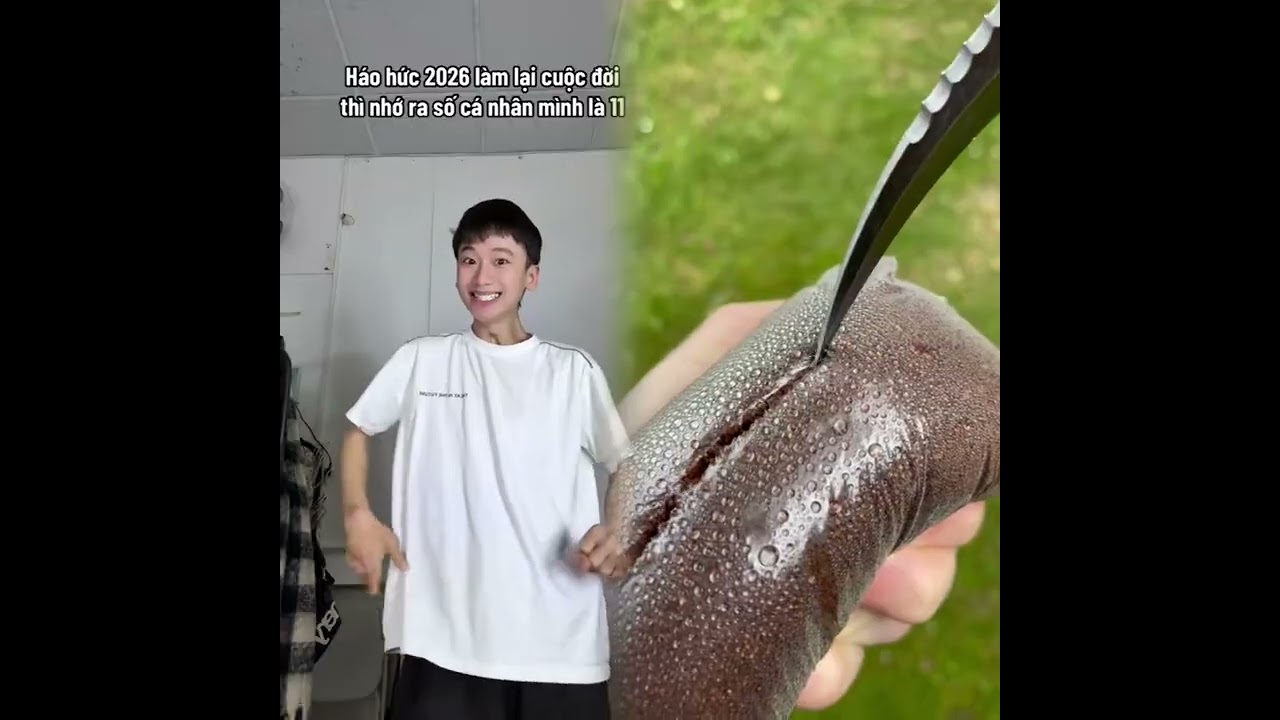 tuilagray Hài hước video tổng hợp#fypシ #funny #pov #fyp 