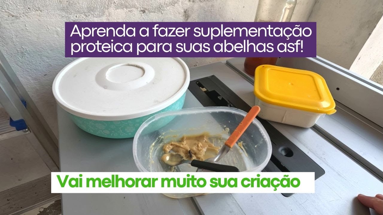 Suplementação proteica para as abelhas ASF - #meliponarioatc