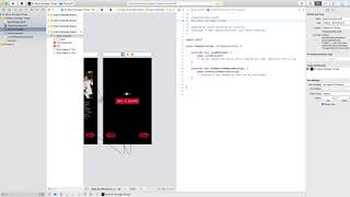 Celebrity Creating IBOutlets and IBActions Wealth