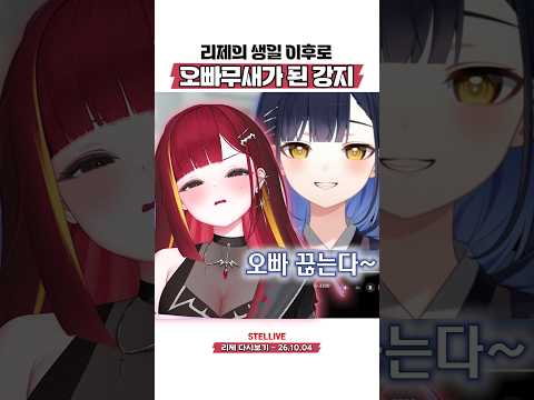 리제의 생일 방송을 보고 오빠무새가 된 강지