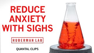 Reduce Anxiety \& Stress with the Physiological Sigh | Huberman Lab Quantal Clip