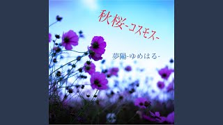 秋桜-コスモス-