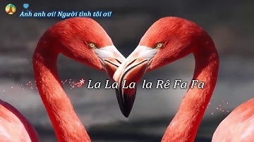 Cảm âm | Đám Cưới Trên Đường Quê | Hoàng Thi Thơ | C5✔