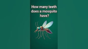 How many teeth does a mosquito have?💥 || #gk #shorts #gkfacts #staticgk #gkquestion #viral