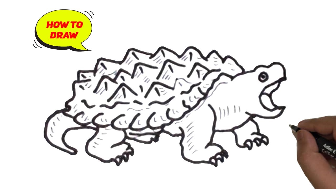 Alligator Snapping Turtle Line Drawing/ How To Draw An Alligator Snapping Turtle  Easy