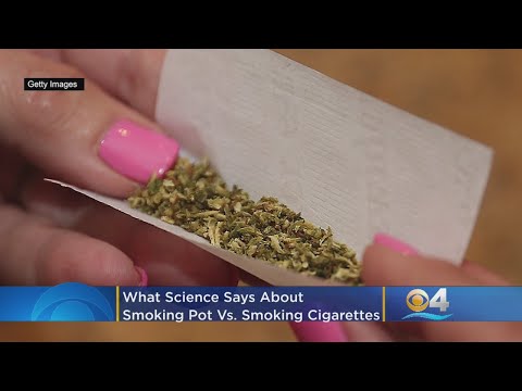 Video: Waarom rookt wieteter?