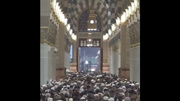 سورة النبأ | الشيخ أحمد الحذيفي