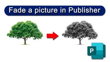 How to fade a picture in Publisher