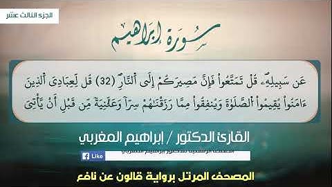 14- إبراهيم ،، برواية قالون عن نافع ،، القارئ د. إبراهيم المغربي