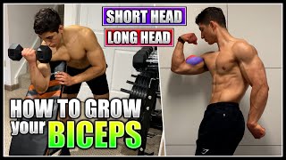 How To Grow Your Biceps Best Exercises Training Tips