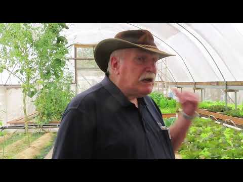 practical aquaponics by murray hallam australia