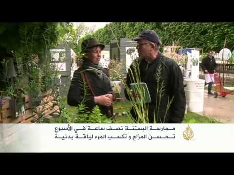 فيديو: البستنة 