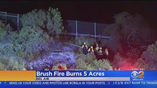 Small brush fire erupts in Bel Air