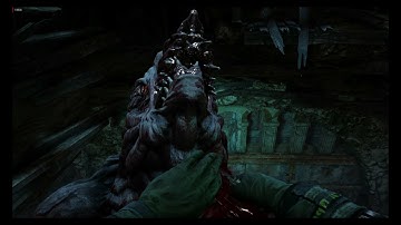 Metro Last Light part: 13 - Through Hell