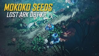 Lost Ark - Mokoko Seeds - Obt Kr