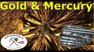 Gold Leaf Dissolving in Mercury