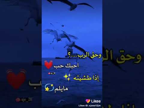 ٢٥ فبراير ٢٠٢١